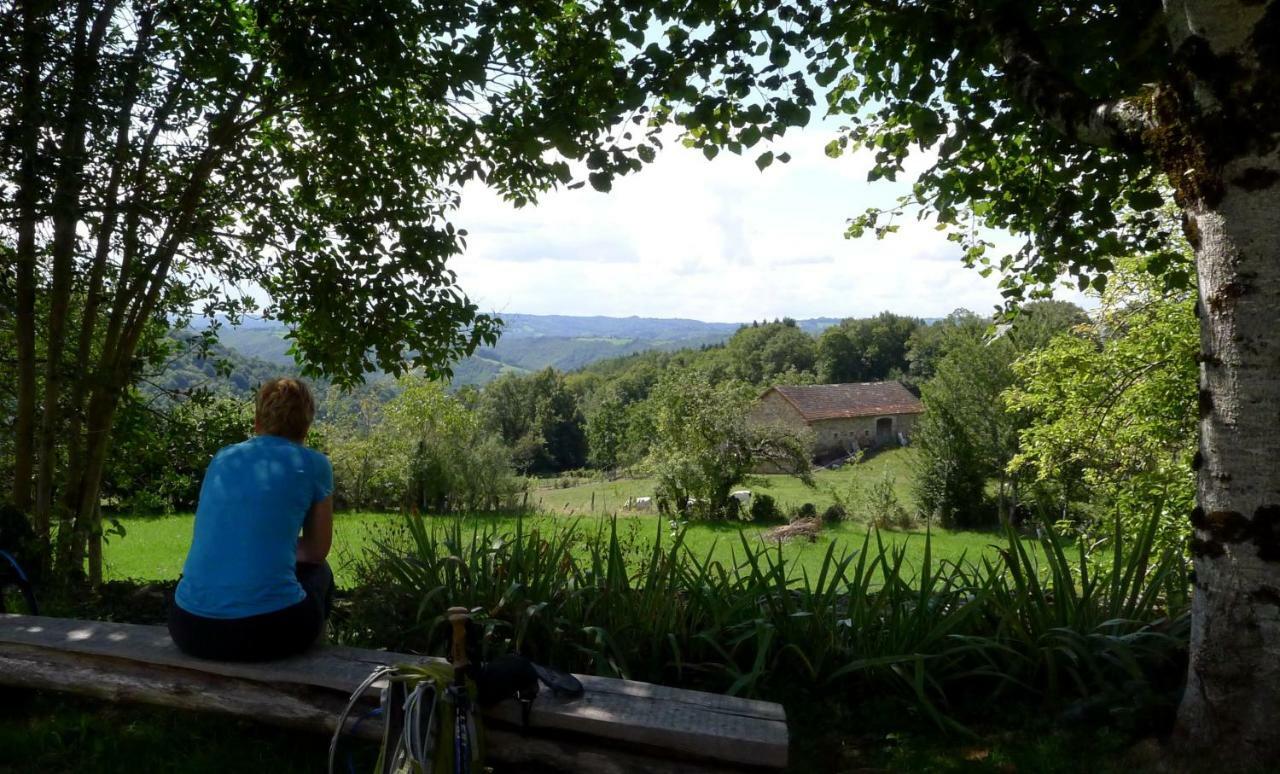 Domaine Les Teuilleres Bed and Breakfast Lacam-dʼOurcet Eksteriør billede